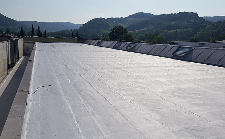 Liquid plastic and fleece for bitumen roof renovation