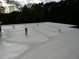 Dach abdichten mit PUR-Dachspritzschaum und Flüssigkunststoff. Bitumen-Bungalowdach