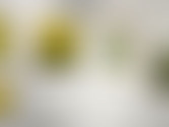 tableaux nature exposes sur un mur