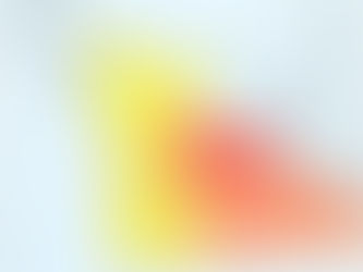 Marine conservation project risk assessment and governance map.