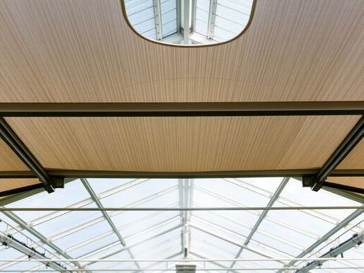 Automated greenhouse climate control system featuring shading screens and cooling mist for desert agriculture.