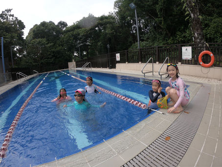 Butterfly Stroke Ladder Workouts for Building Strength and Endurance