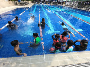 Introduction to Individual Medley (IM): The Basics