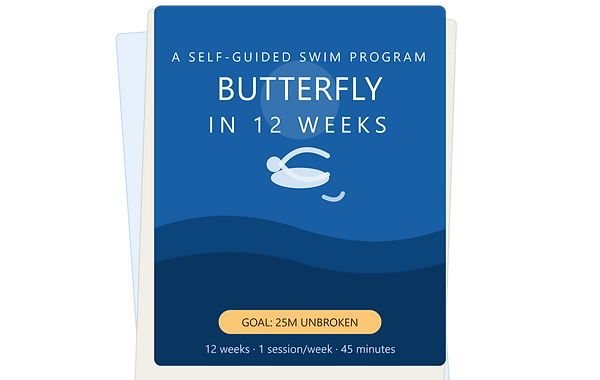 butterfly_in_12_weeks_product_cover.png