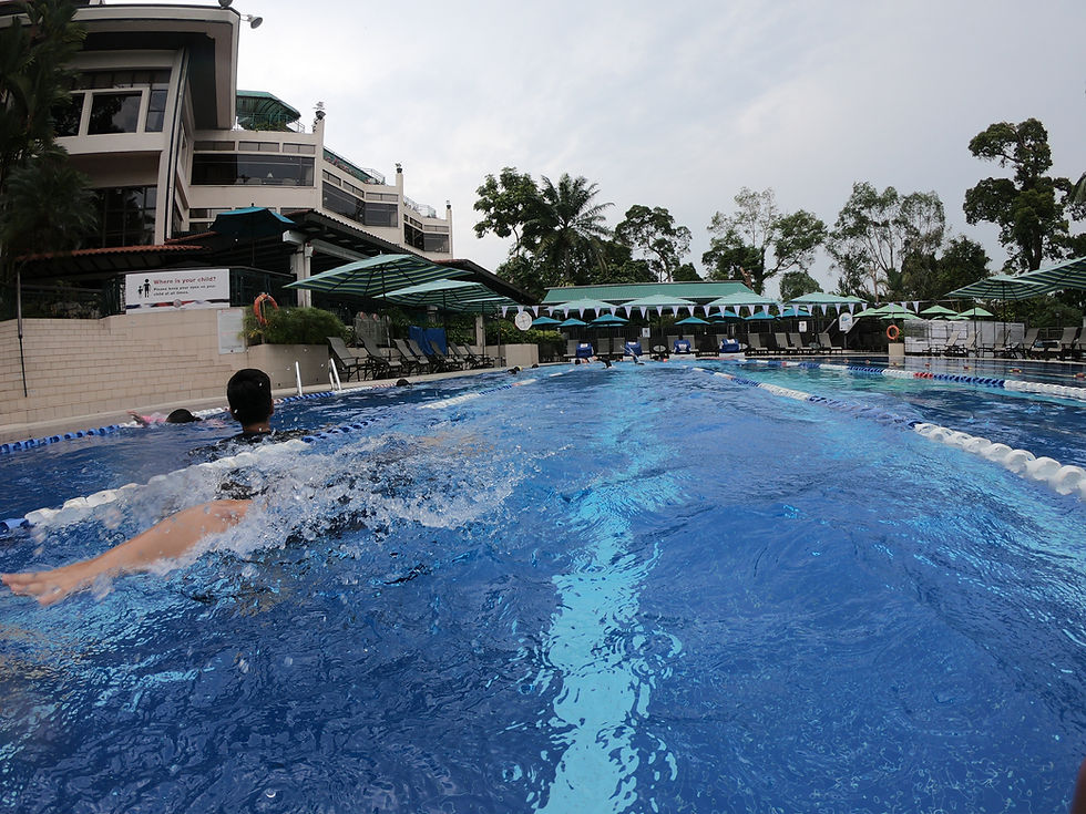 Mastering the Distance: How to Train for Endurance Freestyle Events Using Interval Sets