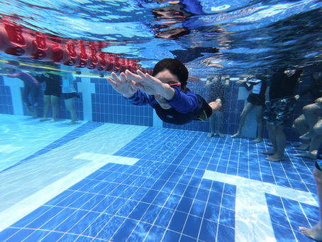 Training Strategies for Self-Taught Competitive Freestyle Swimmers