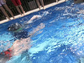 Front Crawl Efficiency: Key Factors to Consider