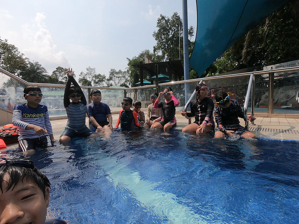 SwimSafer Stages 1–6 Explained: A Parent’s Complete Guide