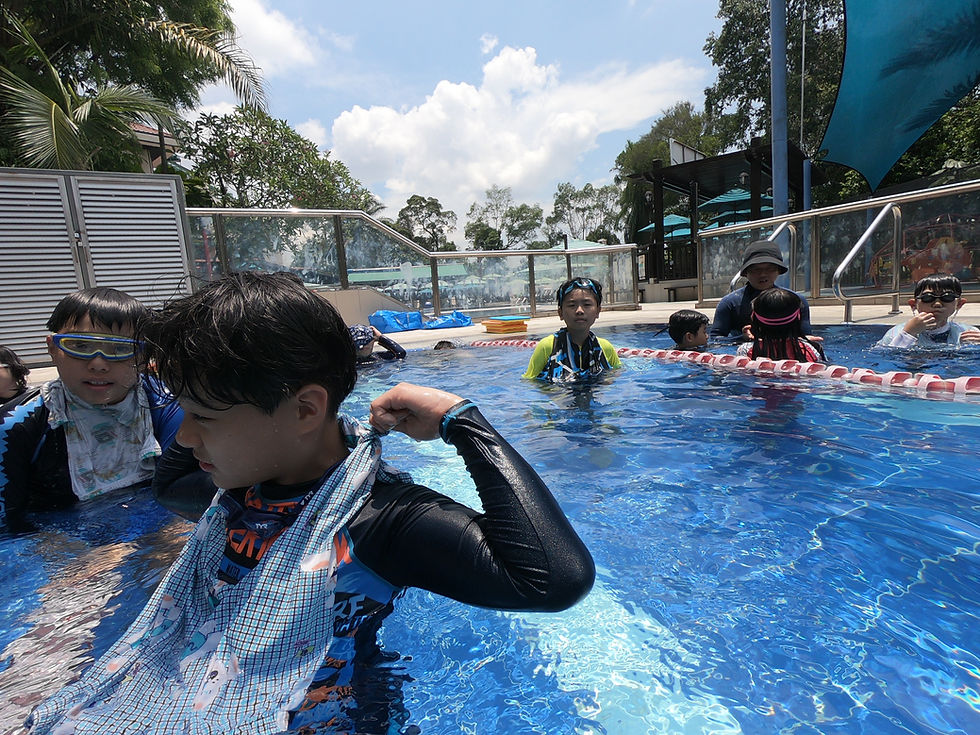 Drafting Techniques: Freestyle Drills for Open Water Racing