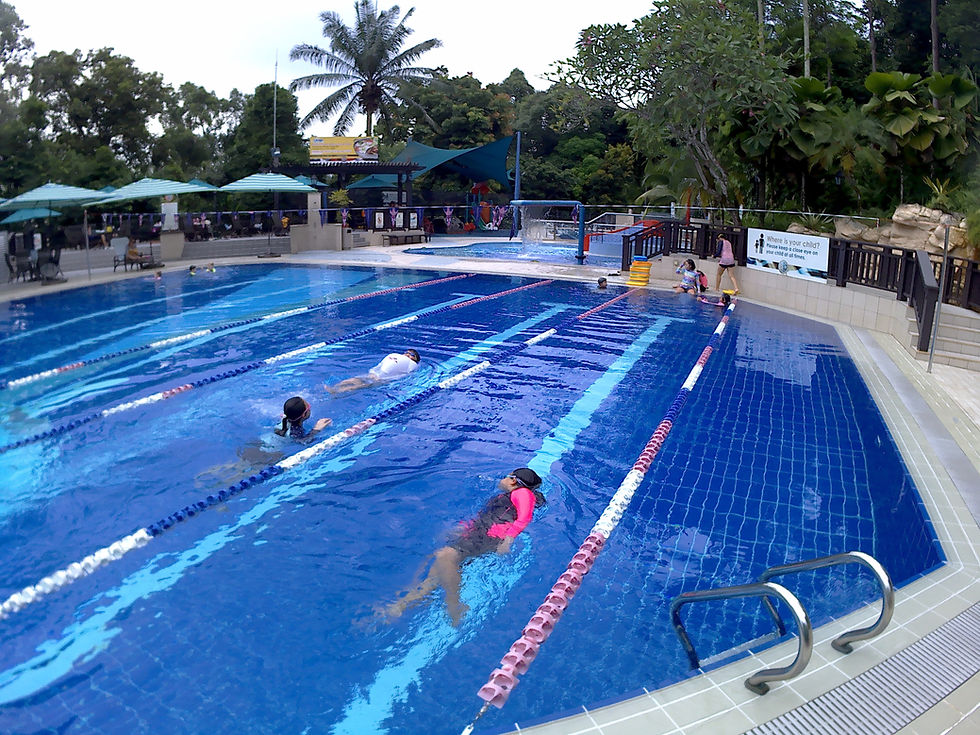 Learning to Tread Water as an Adult: A Practical Guide