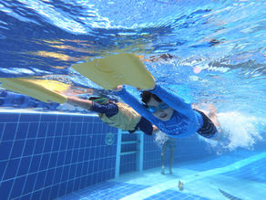 Using Data to Enhance Your Freestyle Training