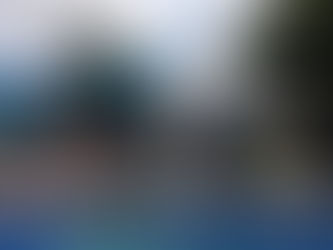 How to Focus on Butterfly for IM Improvement