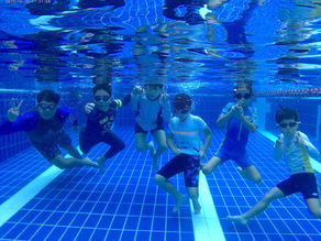 Where to Find Affordable Swim Lessons in Singapore: A Complete Guide for Kids, Adults and Families