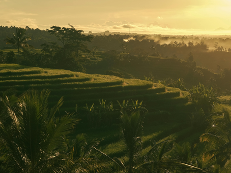 What Bali Teaches Us About Slowing Down