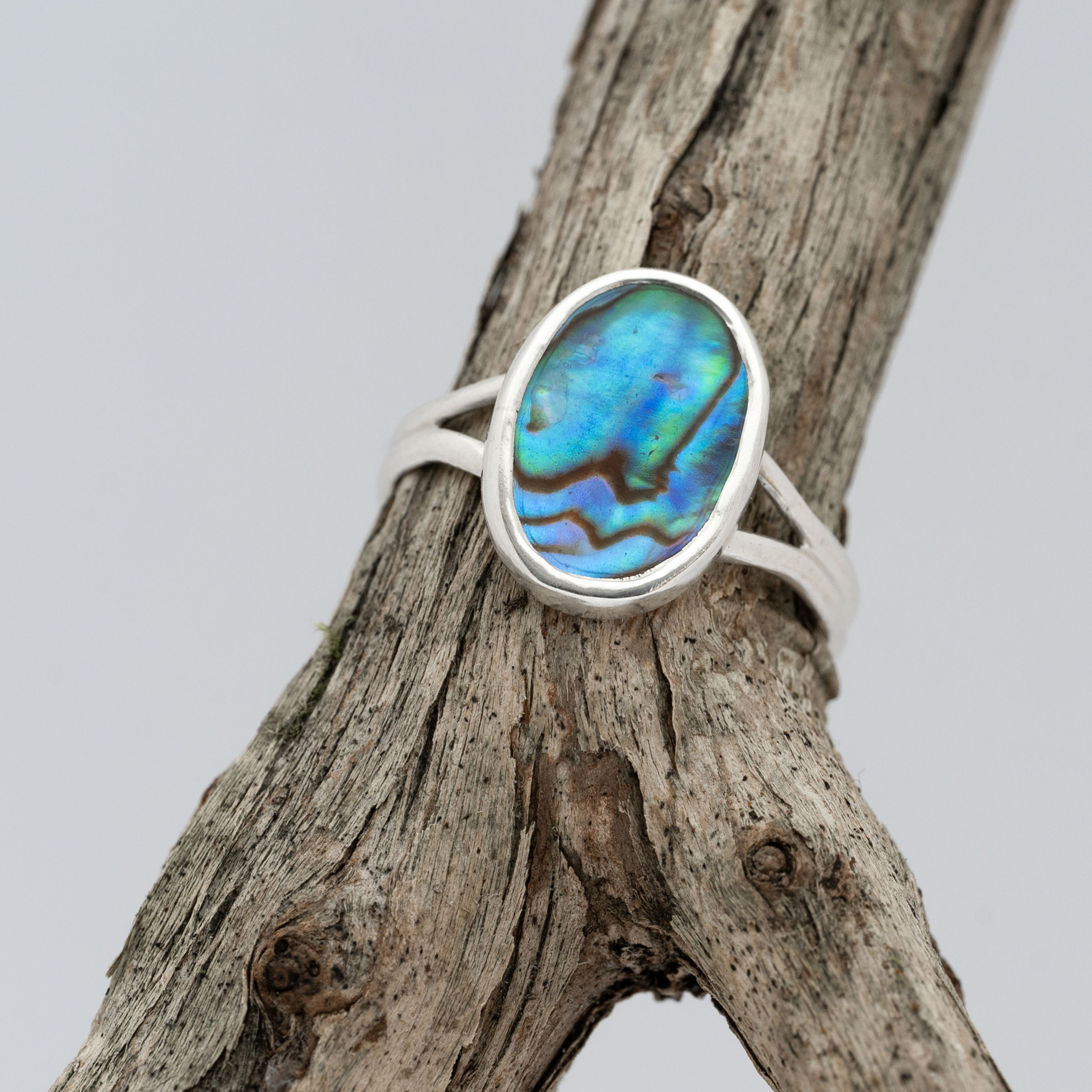 Ring met albalone schelp
