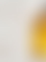 The Rise of CBD: Exploring its Popularity and Wellness Evolution