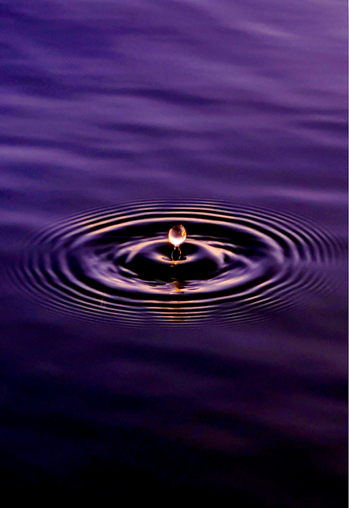 Scherm­afbeelding 2026-02-25 om 13.31.04.png