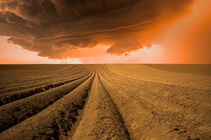 Dune