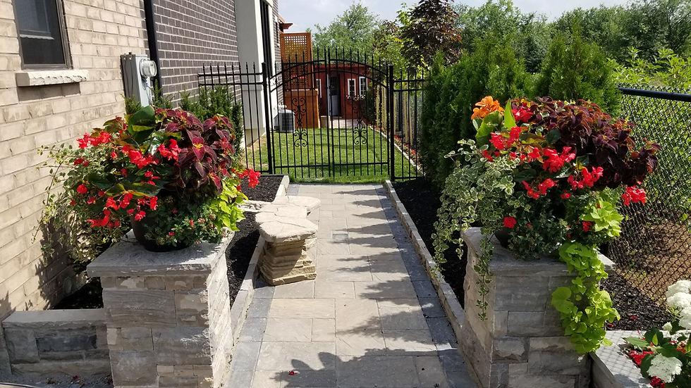 20190718_155452.jpg