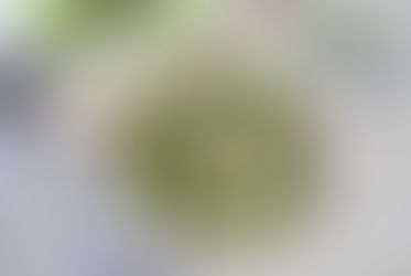 Warm Blueberry and Snow Pea Salad with Walnuts