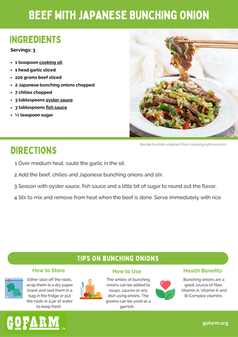 Beef with Japanese Bunching Onion