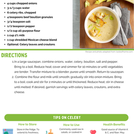 Cream of Celery Soup