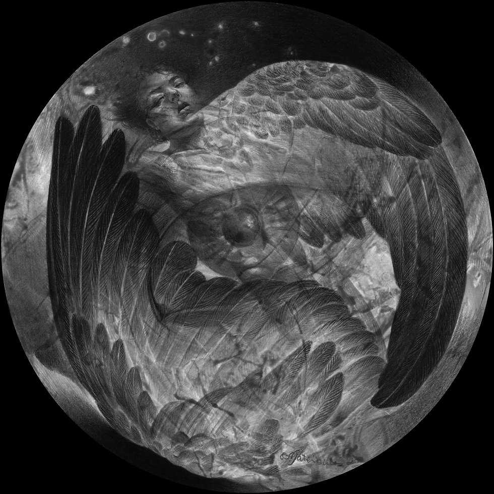 黒鳥の囁き_TR.jpg