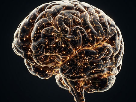 OMEGA-3: IMPORTANTI PER LA FUNZIONE CEREBRALE E LA SALUTE MENTALE