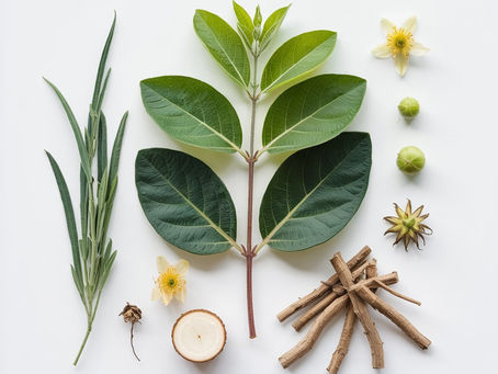 Ashwagandha: Benessere naturale basato sulla scienza