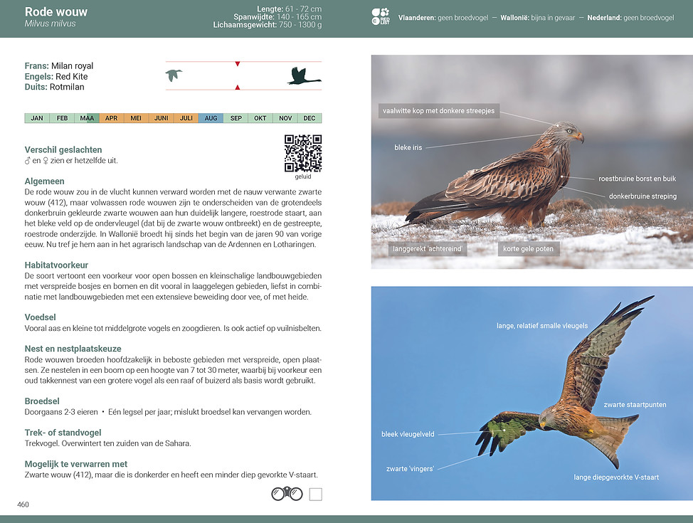 De_slimste_vogelgids_2026_BE_NL_Rode_Wouw.jpg