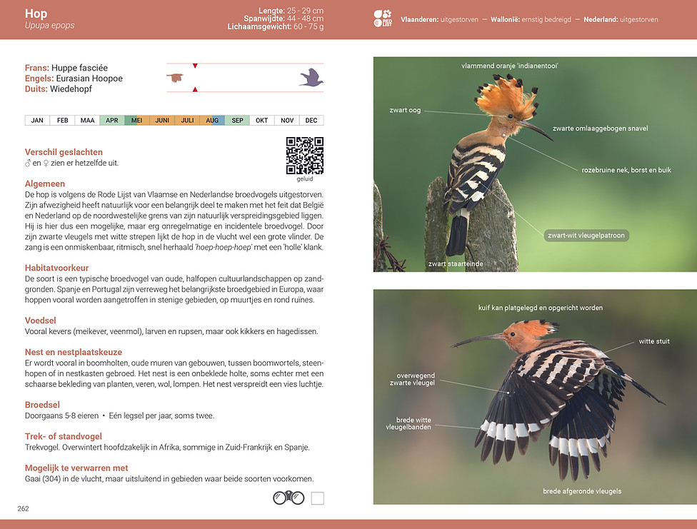 De_slimste_vogelgids_2026_BE_NL_Hop.jpg