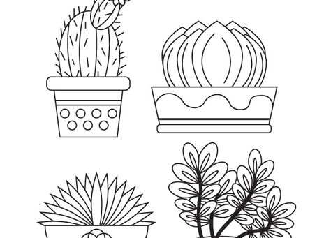 Succulents