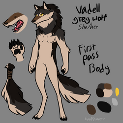 Vadell body