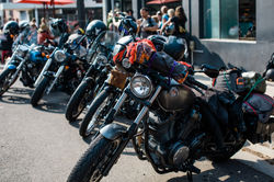 Â©ShannynHiggins-1