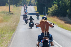 Sheilas_2026_©ShannynHiggins-194