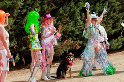 Sheilas_2026_©ShannynHiggins-497