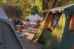 Sheilas_2026_©ShannynHiggins-37