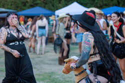 Sheilas_2026_©ShannynHiggins-766