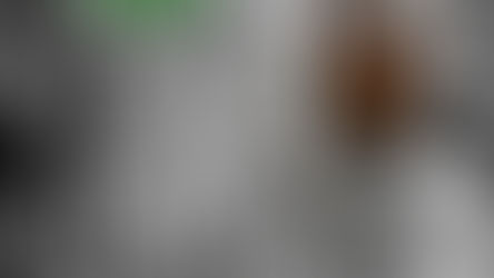 برصغیرمیں تصور دین۔۔ ایک جائزہ