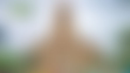 Final Delimitation of Wards for Mumbai Municipal Corporation Elections