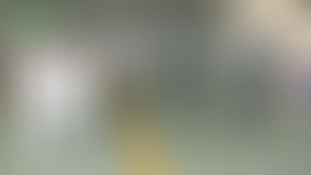 Navy Chief Visits Gujarat, Daman & Diu Naval Area, Emphasizes Maritime Security