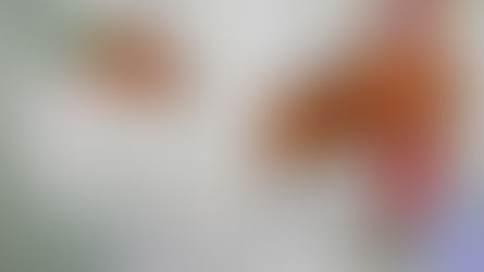 بوگس ڈاکٹروں کے خلاف این سی پی کا سخت انتباہ، مقدمہ درج نہ ہوا تو محکمہ صحت کا گھیراؤ