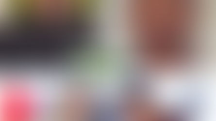 سپریم کورٹ کے چیف جسٹس پر جوتا پھینکنے کی کوشش،ایڈوکیٹ راکیش کشور معطل،عدالتوں، ٹریبونلز،قانونی اتھارٹیز کے سامنے پیش ہونے، بحث کرنے یا وکالت کرنے سے مکمل طور پر روک,وزیر اعظم اور فڈنویس کی شدید مذمت