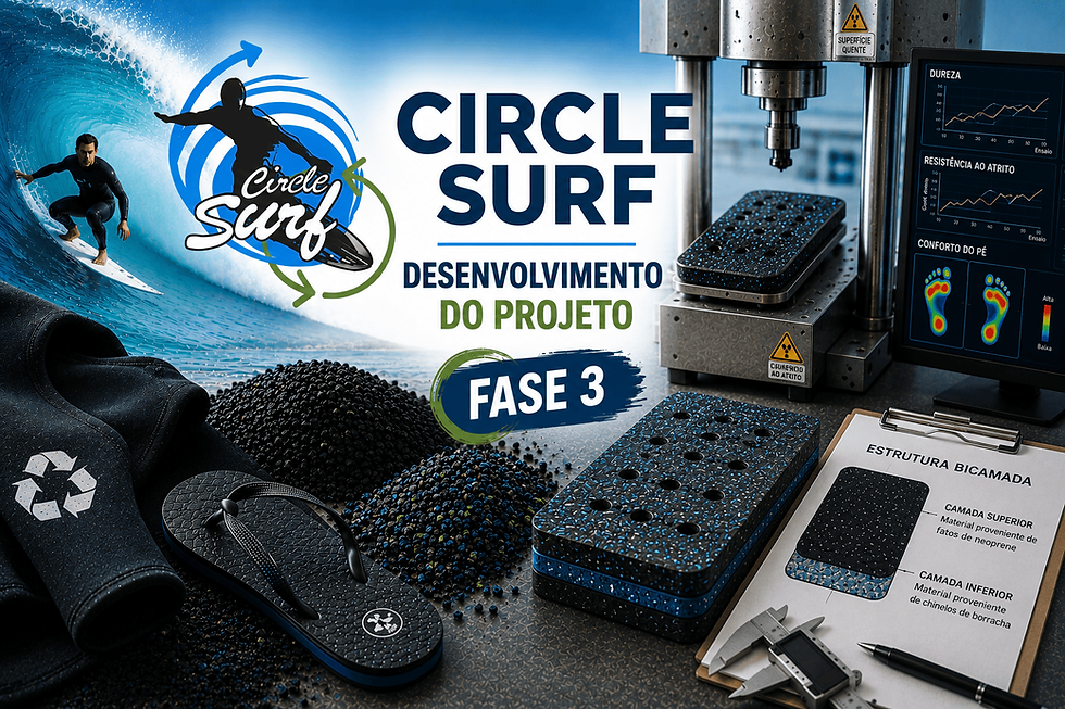 FASE 3 - DESENVOLVIMENTO DO PROJETO CIRCLE SURF