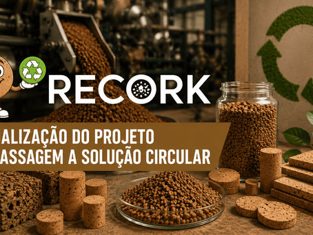 FINALIZAÇÃO DO PROJETO RECORK E PASSAGEM A SOLUÇÃO CIRCULAR