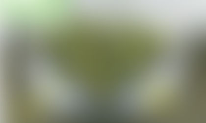 BOLAS FELIZES project applications development