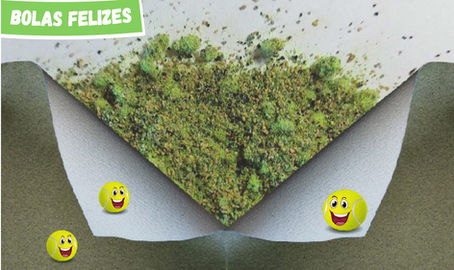 BOLAS FELIZES project applications development