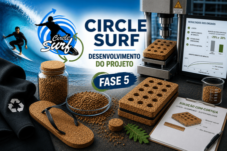 FASE 5 - DESENVOLVIMENTO DO PROJETO CIRCLE SURF