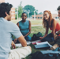 Study Group on the Grass