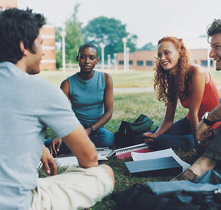 Study Group on the Grass